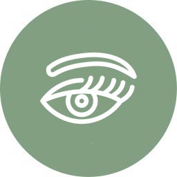 آرایش جشم